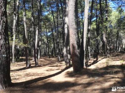 embalse de La Jarosa - Bosque Plateado  comida para la montaña como ponerse una mochila de montaña p